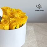 ⁦بوكس ورد⁩ - الصورة ⁦2⁩