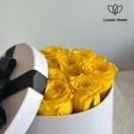 ⁦بوكس ورد⁩ - الصورة ⁦3⁩
