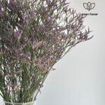 ⁦باقة لمنيوم بنفسجي⁩ - الصورة ⁦3⁩