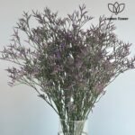 ⁦باقة لمنيوم بنفسجي⁩ - الصورة ⁦4⁩