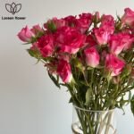 ⁦باقة بيبي روز الوردية⁩ - الصورة ⁦3⁩